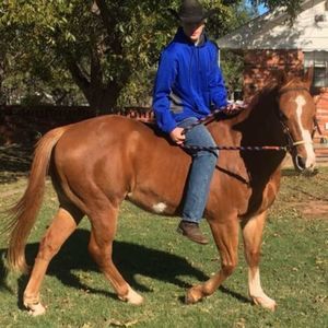 Meet your Posher, Timothy